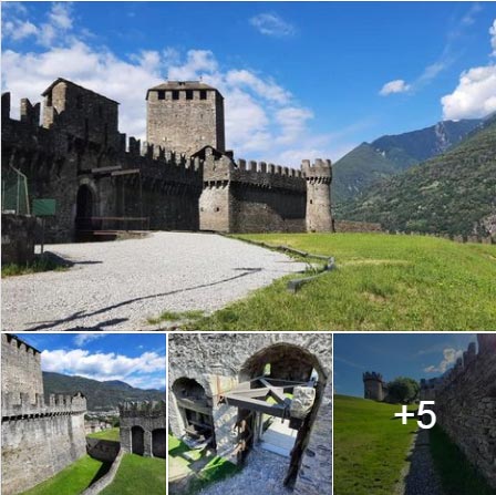 Nate's photo of Livorno